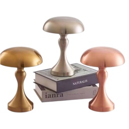 [EALT-FLGT-01008
(RHJR-2091)] Royal Homes Table Light USB, Rose Gold/ Silver