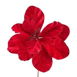 [831-MX2467-2522A] ^Miro Magnolia 34cm Red