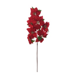 [831-MX2467-2425A] ^Miro Poinsettia Spray 90cm Red