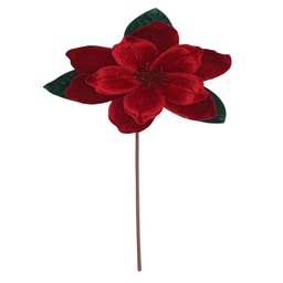 [831-F002-2509] ^Miro Magnolia 24x50cm Red7R-
