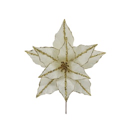 [831-AMX044-2559IB] ^Miro Poinsettia 35x30cm Ivory/Gold