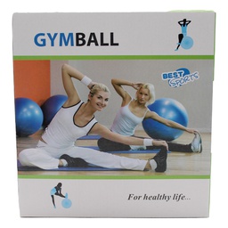 [RHGB75P/ZY-132] ****Royal Homes Stability Ball with Pump 75cm