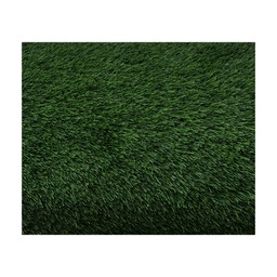 [HHGD-AFGS-01005 / RHBSTR35163-25/ZY-132 / BSTR35163-25/ZY-132] Royal Homes Artificial Turf 6.5 x 16.4 Ft (2 x 5 M), Dark Green