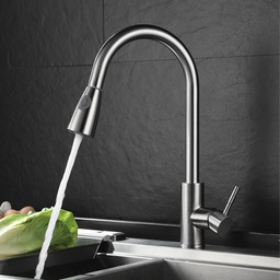 [RHFK8602 RHKF11845] Royal Homes Kitchen Faucet