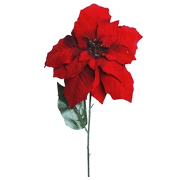 [831-MX2467-334] ****Miro Poinsettia Stuffed Red 65cm