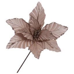 [831-AMX001-1269N] Miro Poinsettia 30cm 9P Champagne