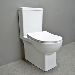 [SR-TT8305 RHT19070] Royal Homes Toilet 25.2 x 14.5 x 31.5 In. White p-trap