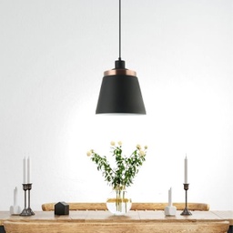 [P2020-1 RHPL19184] Royal Homes Pendant Light