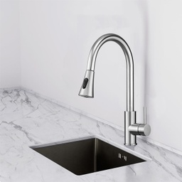 [980099 RHKF21935] Royal Homes Kitchen Faucet