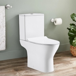 [SR-TT209 SR-TT45  RHPT22191] Royal Homes P-trapToilet