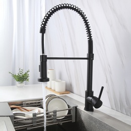 [BA- N22040 RHKF23772] Royal Homes Kitchen Faucet