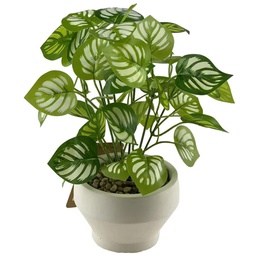 [718-03072] Decore Artificial Plant in Cement Pot