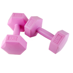 [SR7578] Elle Sport PE Cement Dumbbells 2kg, Soft Pink - Pair