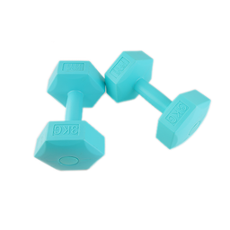 [SR7579] Elle Sport PE Cement Dumbbells 3kg, Aqua - Pair