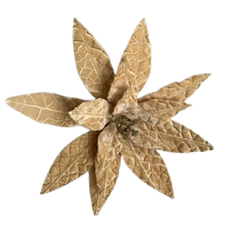 [XQ12852288CH] Christmas Poinsettia 30x20cm