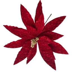 [XQ12852288R] Christmas Poinsettia 30x20cm